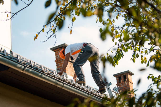 Best Roof Gutter Cleaning  in Bellville, OH